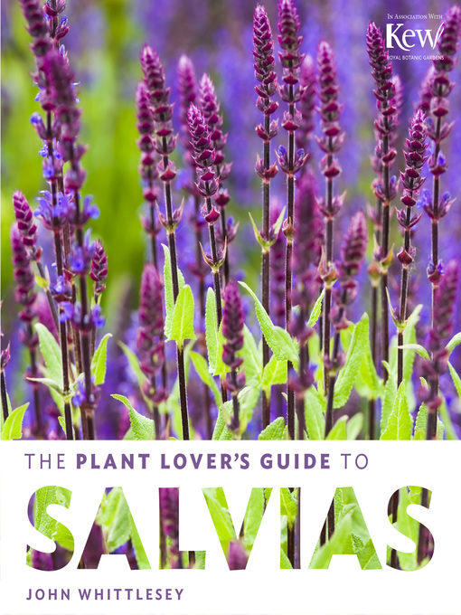 Title details for The Plant Lover's Guide to Salvias by John Whittlesey - Available